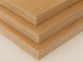 Chinese Hardwood